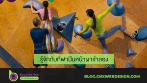 รู้จักกับกีฬาปีนหน้าผาจำลอง