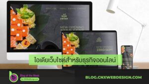 ไอเดียเว็บไซต์สำหรับธุรกิจออนไลน์